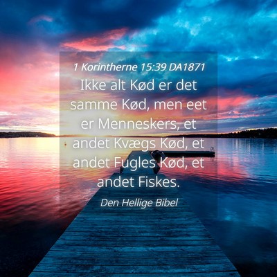 Picture 04 - 1 Korintherne 15:39 DA1871 - Ikke alt Kød er det samme Kød, men eet er - Bible Verse Picture