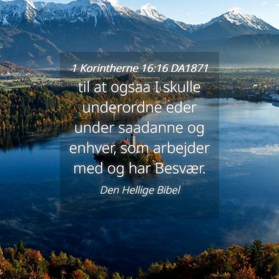 Picture 04 - 1 Korintherne 16:16 DA1871 - til at ogsaa I skulle underordne eder under - Bible Verse Picture