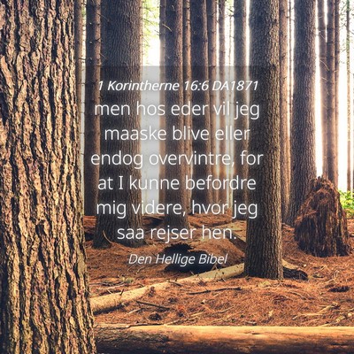 Picture 04 - 1 Korintherne 16:6 DA1871 - men hos eder vil jeg maaske blive eller endog - Bible Verse Picture