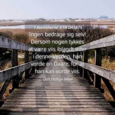 Picture 04 - 1 Korintherne 3:18 DA1871 - Ingen bedrage sig selv! Dersom nogen tykkes at - Bible Verse Picture