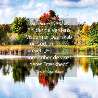 Picture 04 - 1 Korintherne 3:19 DA1871 - Thi denne Verdens Visdom er Daarskab for Gud; thi - Bible Verse Picture