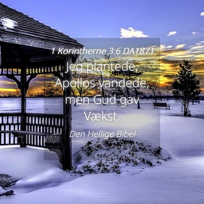 Picture 04 - 1 Korintherne 3:6 DA1871 - Jeg plantede, Apollos vandede, men Gud gav - Bible Verse Picture