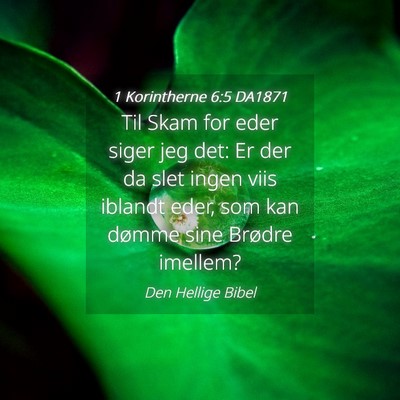 Picture 04 - 1 Korintherne 6:5 DA1871 - Til Skam for eder siger jeg det: Er der da slet - Bible Verse Picture