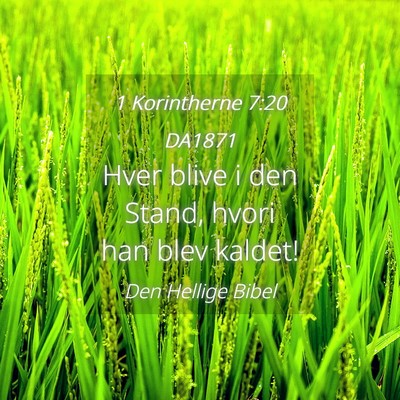 Picture 04 - 1 Korintherne 7:20 DA1871 - Hver blive i den Stand, hvori han blev - Bible Verse Picture