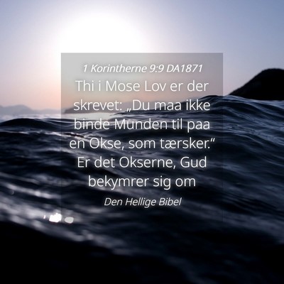 Picture 04 - 1 Korintherne 9:9 DA1871 - Thi i Mose Lov er der skrevet: „Du maa ikke - Bible Verse Picture