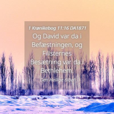 Picture 04 - 1 Krønikebog 11:16 DA1871 - Og David var da i Befæstningen, og Filisternes - Bible Verse Picture