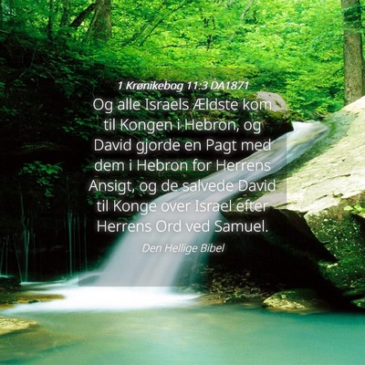 Picture 04 - 1 Krønikebog 11:3 DA1871 - Og alle Israels Ældste kom til Kongen i Hebron, - Bible Verse Picture