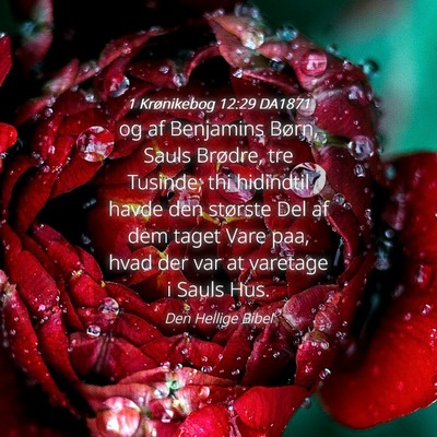 Picture 04 - 1 Krønikebog 12:29 DA1871 - og af Benjamins Børn, Sauls Brødre, tre - Bible Verse Picture