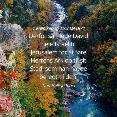 Picture 04 - 1 Krønikebog 15:3 DA1871 - Derfor samlede David hele Israel til Jerusalem - Bible Verse Picture