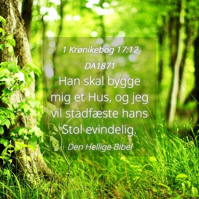 Picture 04 - 1 Krønikebog 17:12 DA1871 - Han skal bygge mig et Hus, og jeg vil stadfæste - Bible Verse Picture