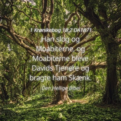Picture 04 - 1 Krønikebog 18:2 DA1871 - Han slog og Moabiterne, og Moabiterne bleve - Bible Verse Picture