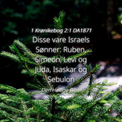Picture 04 - 1 Krønikebog 2:1 DA1871 - Disse vare Israels Sønner: Ruben, Simeon, Levi - Bible Verse Picture