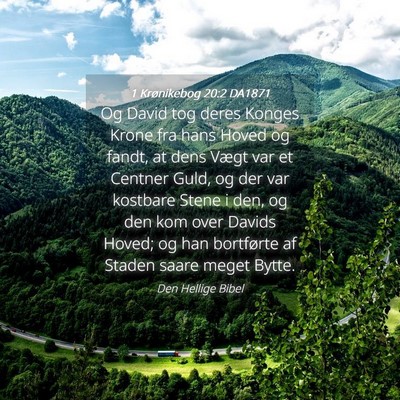 Picture 04 - 1 Krønikebog 20:2 DA1871 - Og David tog deres Konges Krone fra hans Hoved og - Bible Verse Picture