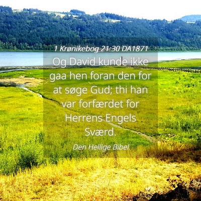 Picture 04 - 1 Krønikebog 21:30 DA1871 - Og David kunde ikke gaa hen foran den for at - Bible Verse Picture