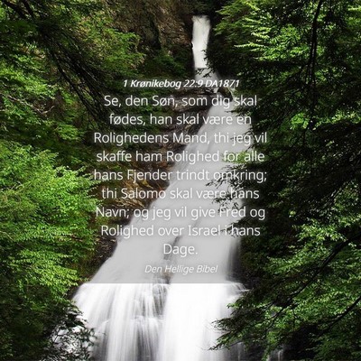 Picture 04 - 1 Krønikebog 22:9 DA1871 - Se, den Søn, som dig skal fødes, han skal være - Bible Verse Picture