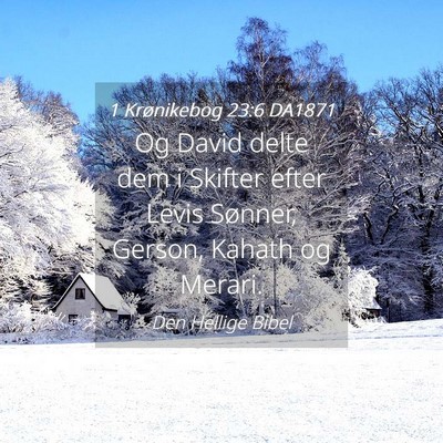 Picture 04 - 1 Krønikebog 23:6 DA1871 - Og David delte dem i Skifter efter Levis Sønner, - Bible Verse Picture