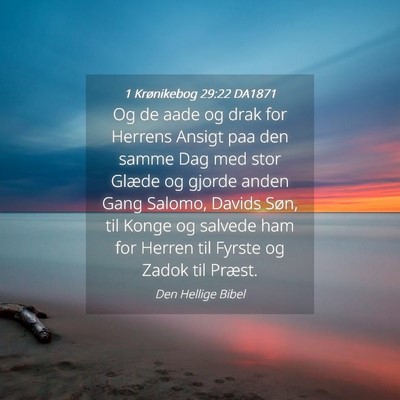 Picture 04 - 1 Krønikebog 29:22 DA1871 - Og de aade og drak for Herrens Ansigt paa den - Bible Verse Picture
