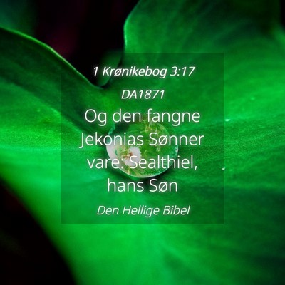 Picture 04 - 1 Krønikebog 3:17 DA1871 - Og den fangne Jekonias Sønner vare: Sealthiel, - Bible Verse Picture