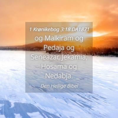 Picture 04 - 1 Krønikebog 3:18 DA1871 - og Malkiram og Pedaja og Seneazar, Jekamia, - Bible Verse Picture