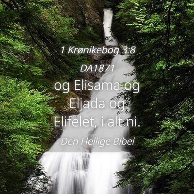 Picture 04 - 1 Krønikebog 3:8 DA1871 - og Elisama og Eljada og Elifelet, i alt - Bible Verse Picture