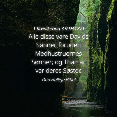 Picture 04 - 1 Krønikebog 3:9 DA1871 - Alle disse vare Davids Sønner, foruden - Bible Verse Picture