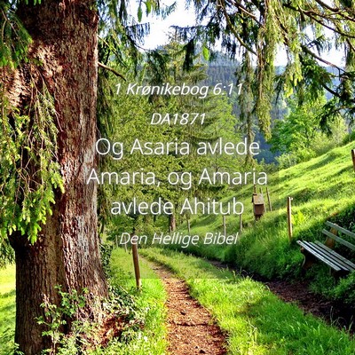 Picture 04 - 1 Krønikebog 6:11 DA1871 - Og Asaria avlede Amaria, og Amaria avlede - Bible Verse Picture