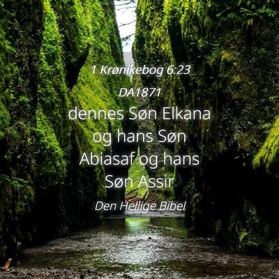 Picture 04 - 1 Krønikebog 6:23 DA1871 - dennes Søn Elkana og hans Søn Abiasaf og hans - Bible Verse Picture