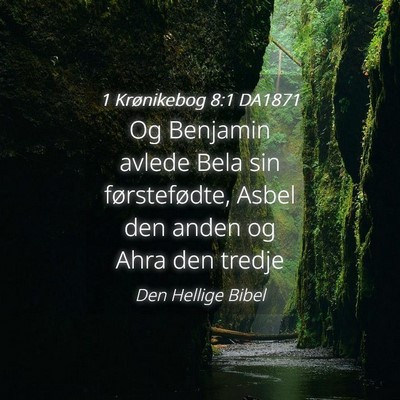 Picture 04 - 1 Krønikebog 8:1 DA1871 - Og Benjamin avlede Bela sin førstefødte, Asbel - Bible Verse Picture