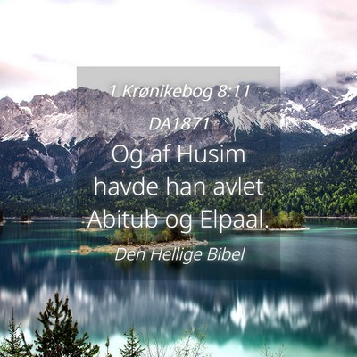 Picture 04 - 1 Krønikebog 8:11 DA1871 - Og af Husim havde han avlet Abitub og - Bible Verse Picture