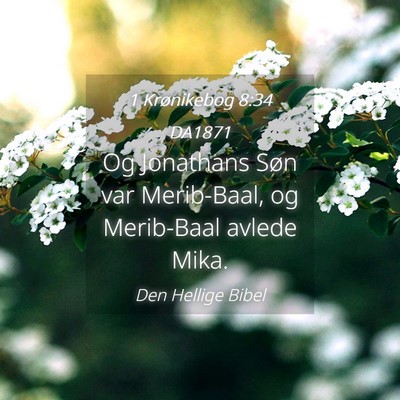 Picture 04 - 1 Krønikebog 8:34 DA1871 - Og Jonathans Søn var Merib-Baal, og Merib-Baal - Bible Verse Picture