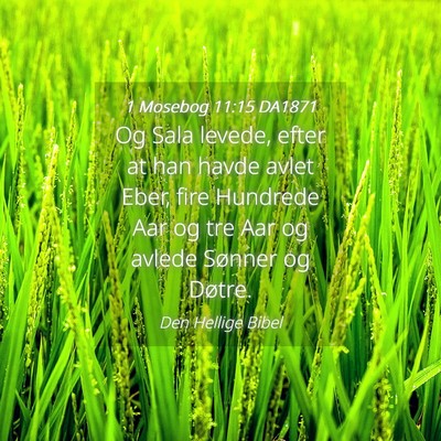 Picture 04 - 1 Mosebog 11:15 DA1871 - Og Sala levede, efter at han havde avlet Eber, - Bible Verse Picture