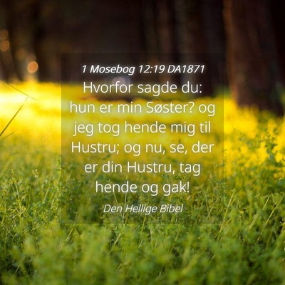 Picture 04 - 1 Mosebog 12:19 DA1871 - Hvorfor sagde du: hun er min Søster? og jeg tog - Bible Verse Picture