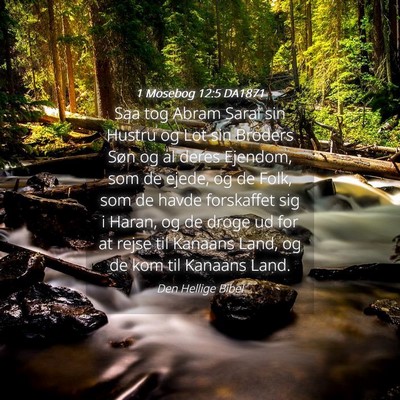 Picture 04 - 1 Mosebog 12:5 DA1871 - Saa tog Abram Sarai sin Hustru og Lot sin Broders - Bible Verse Picture