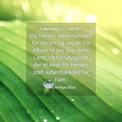 Picture 04 - 1 Mosebog 12:7 DA1871 - Og Herren aabenbaredes for Abram og sagde: Dit - Bible Verse Picture
