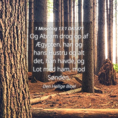 Picture 04 - 1 Mosebog 13:1 DA1871 - Og Abram drog op af Ægypten, han og hans Hustru - Bible Verse Picture