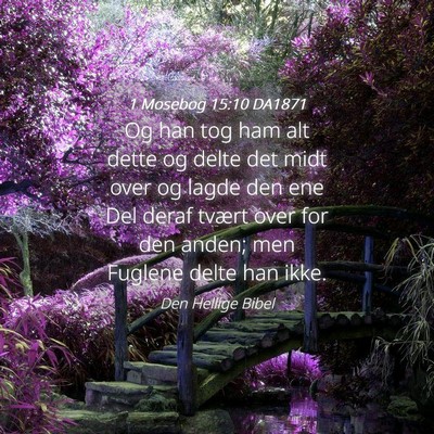 Picture 04 - 1 Mosebog 15:10 DA1871 - Og han tog ham alt dette og delte det midt over - Bible Verse Picture
