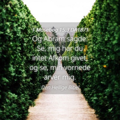 Picture 04 - 1 Mosebog 15:3 DA1871 - Og Abram sagde: Se, mig har du intet Afkom givet, - Bible Verse Picture