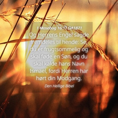 Picture 04 - 1 Mosebog 16:11 DA1871 - Og Herrens Engel sagde fremdeles til hende: Se, - Bible Verse Picture