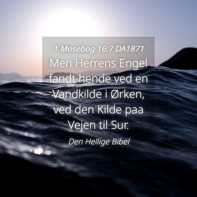 Picture 04 - 1 Mosebog 16:7 DA1871 - Men Herrens Engel fandt hende ved en Vandkilde i - Bible Verse Picture