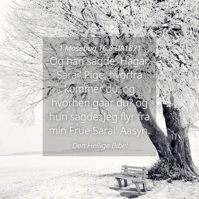 Picture 04 - 1 Mosebog 16:8 DA1871 - Og han sagde: Hagar, Sarai' Pige, hvorfra kommer - Bible Verse Picture
