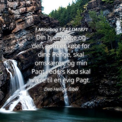 Picture 04 - 1 Mosebog 17:13 DA1871 - Din hjemfødte og den, som er købt for dine - Bible Verse Picture