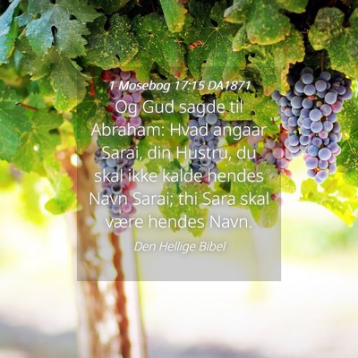 Picture 04 - 1 Mosebog 17:15 DA1871 - Og Gud sagde til Abraham: Hvad angaar Sarai, din - Bible Verse Picture