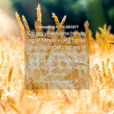 Picture 04 - 1 Mosebog 17:16 DA1871 - Og jeg vil velsigne hende, og af hende vil jeg - Bible Verse Picture