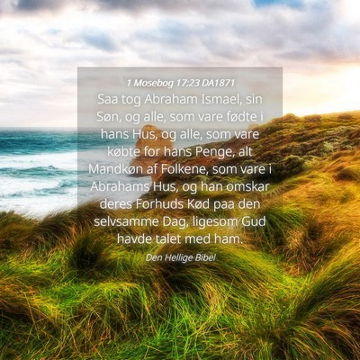 Picture 04 - 1 Mosebog 17:23 DA1871 - Saa tog Abraham Ismael, sin Søn, og alle, som - Bible Verse Picture