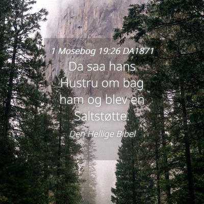 Picture 04 - 1 Mosebog 19:26 DA1871 - Da saa hans Hustru om bag ham og blev en - Bible Verse Picture