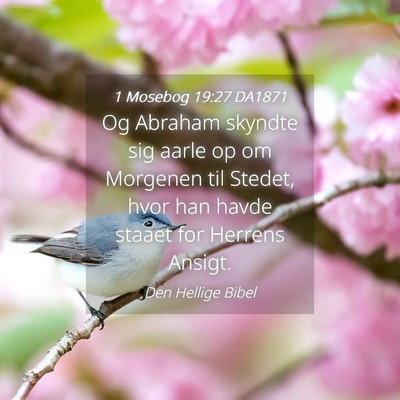 Picture 04 - 1 Mosebog 19:27 DA1871 - Og Abraham skyndte sig aarle op om Morgenen til - Bible Verse Picture