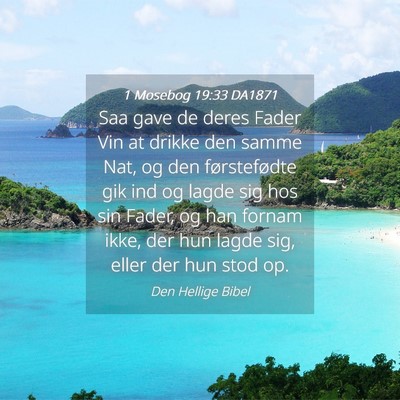 Picture 04 - 1 Mosebog 19:33 DA1871 - Saa gave de deres Fader Vin at drikke den samme - Bible Verse Picture