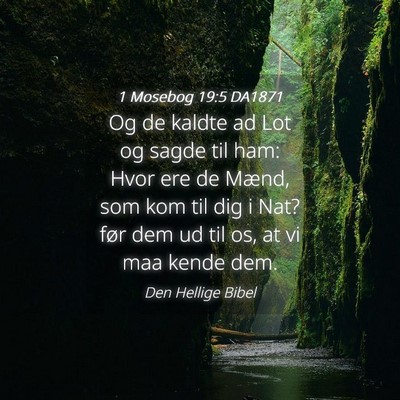 Picture 04 - 1 Mosebog 19:5 DA1871 - Og de kaldte ad Lot og sagde til ham: Hvor ere de - Bible Verse Picture