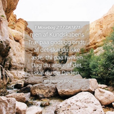 Picture 04 - 1 Mosebog 2:17 DA1871 - men af Kundskabens Træ paa godt og ondt, af det - Bible Verse Picture