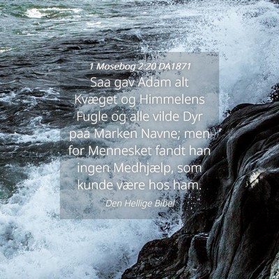 Picture 04 - 1 Mosebog 2:20 DA1871 - Saa gav Adam alt Kvæget og Himmelens Fugle og - Bible Verse Picture